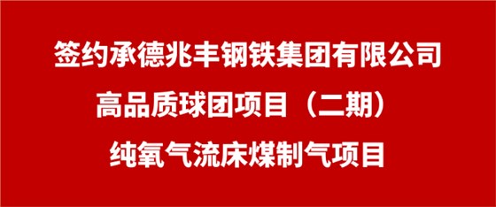 兆丰项目