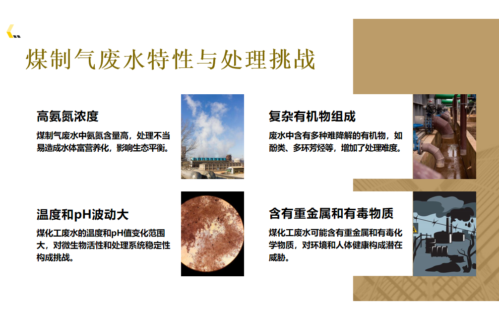厌氧氨氧化技术